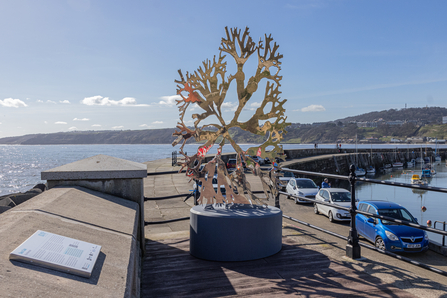 Sea Oak Sculpture - TOS Volunteer Simon Tull