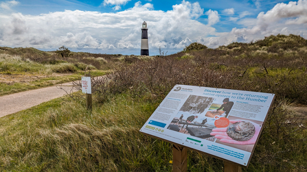 Spurn Point lighthouse with information board in the foreground