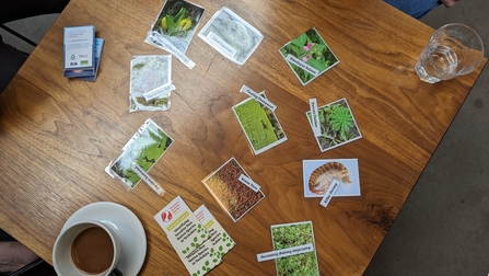 INNS Discovery Day Species Quiz photo cards