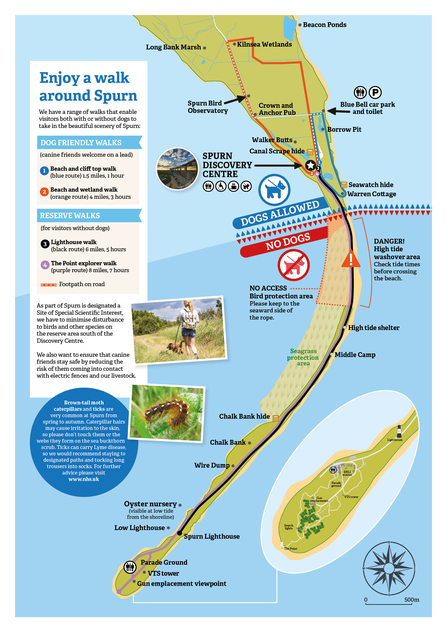 A map of Spurn nature reserve