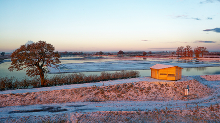 A wooden hide sits to the right of the image on top of a small, frosty hill. There is a tree to the left of the image.