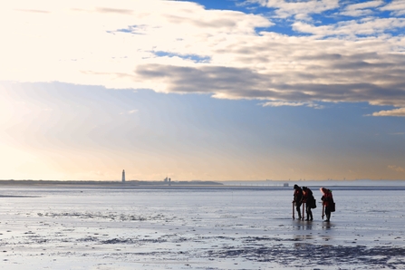 3 people stood in the shallow sea on the shoreline planting seagrass seeds with a pottiputki tool.