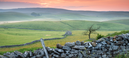 A crimson sunrise over the rolling hills of Ashes Pasture