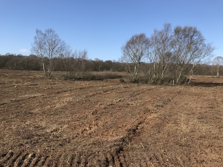 View of a moor on a clear blue sky day after scrub has been cleared