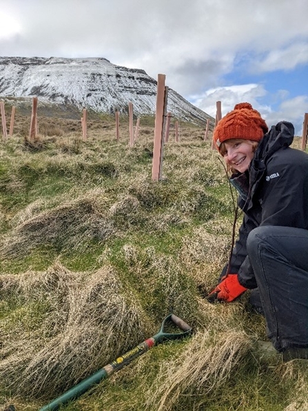 woman crouched in field in the Dales doing work