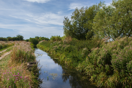 Feeder channel with surrounding bank side vegetation at Skerne
