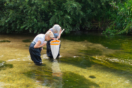 2 volunteers looking into a net to see what they've caught