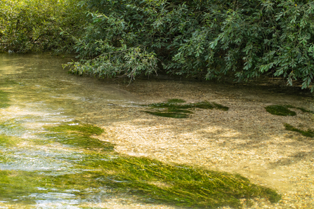The main channel at Skerne and riverbank