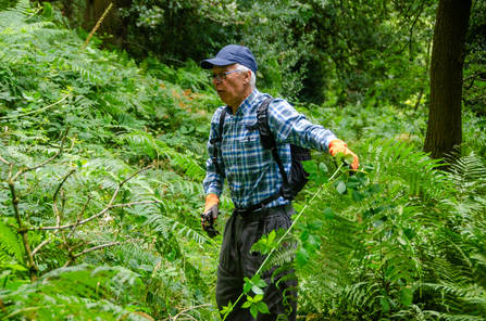 Low Wood volunteer clearing brambles