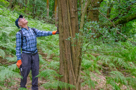 Steve with UK champion Hawthorn tree at Low Wood