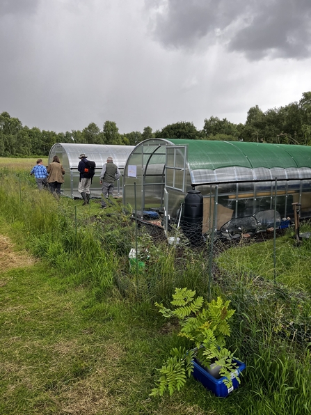 two polytunnels in a field with 4 people working around the front of one.