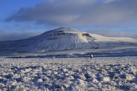 snow covered mountain and limestone pavement in the Yorkshire Dales