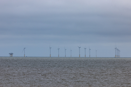 Wind turbines off Spurn Point