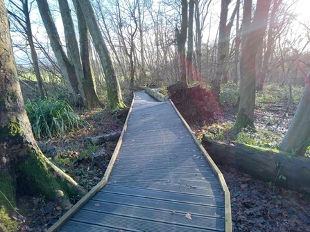 Damage to boardwalk at Adel Dam caused by large falling tree