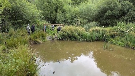 View of pond at Adel Dam taken from the bird hide