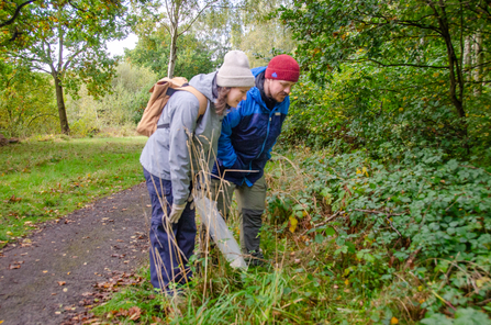 Visitors looking at fungi in the grass verge