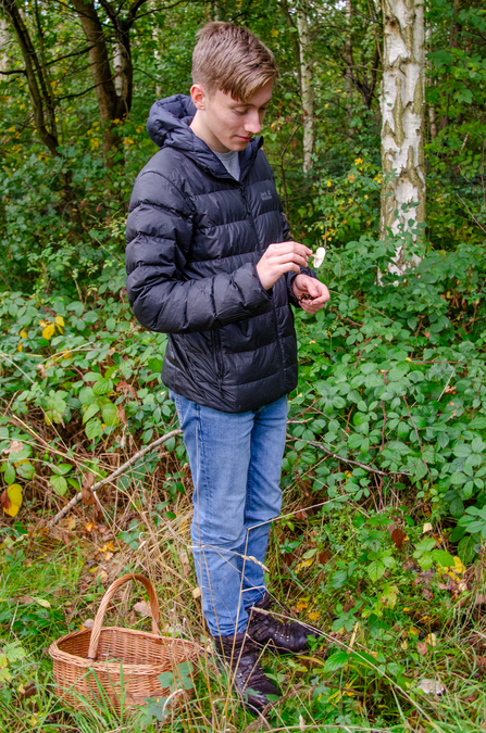 A man with a basket examining a mushroom he's holding in his hand