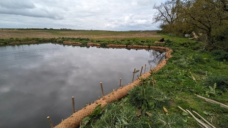 A large pool (left) is hemmed in by brown, sausage-like material.