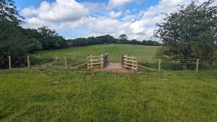 A green grass field (foreground) has a new bridge with new fencing (centre) leading to another field (background)