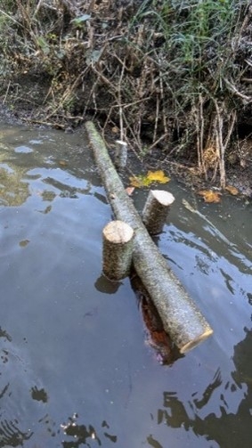 A branch sits directly across the stream, held in place by wooden uprights in the water.