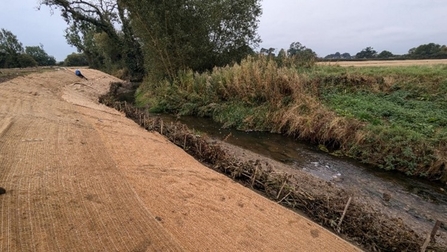 A soily reprofiled bank (left) is shored up using a deadwood hedge (middle) with the Foss to the right