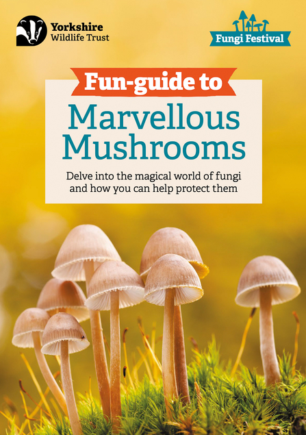 YWT Fun Guide to Marvellous Mushrooms booklet