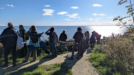 Group of volunteers on clifftop, looking out to see to spot wildlife