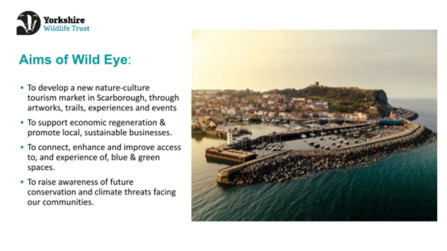 Image of harbour and text describing the Wild Eye project