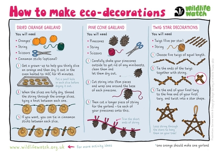 How tomake eco decorations infograph