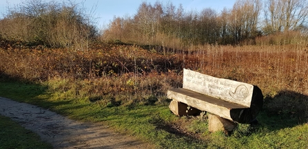 Barlow Common bench in the winter sun