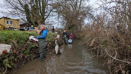 Staff in waders stood in a small brown stream (centre) with grass to the left and brash on the right.