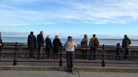 Group of people on Scarborough Seafront looking out to see to spot dolphins