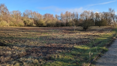 Barlow common first meadow in winter sunshine