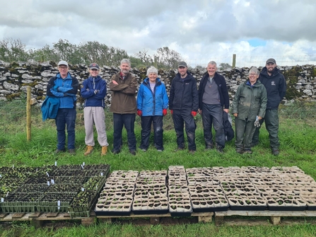 Group of people stood in a row behind lots of seedling trays on the ground in the montane nursery of Ingleborough in the Yorkshire Dales. Behind them is a drystone wall.