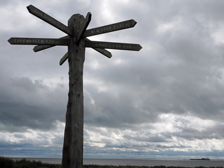 A signpost points in numerous different directions. Behind it, dark clouds loom.