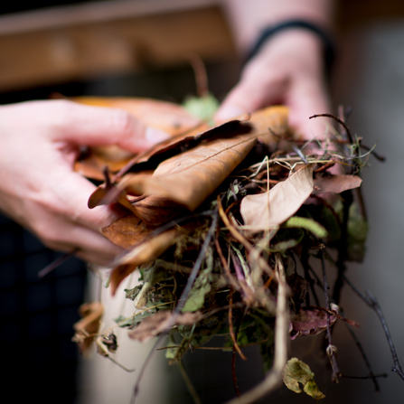 Leaf litter mulch being held in a pair of hands