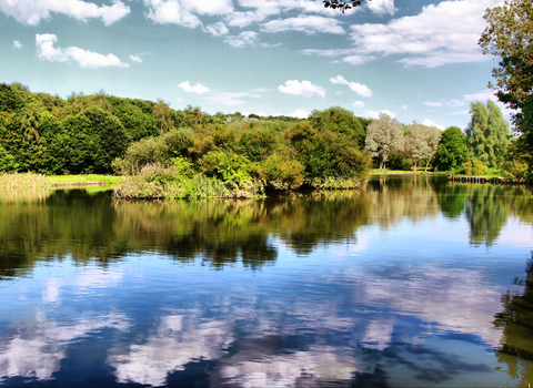 Dearne Valley Country Park