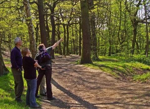 Stoneycliffe Wood bird walk 