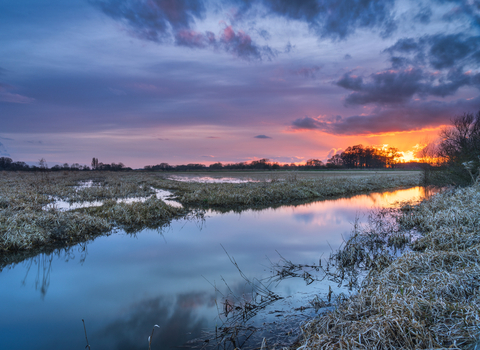 A fiery sunset casting the sky purple above a beck at Wheldrake Ings. Photography by John Potter v2