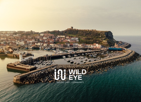 Drone image of Scarborough harbour