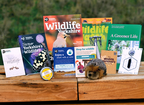 The contents of our gift membership box presented on a wooden table.