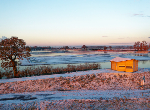 A wooden hide sits to the right of the image on top of a small, frosty hill. There is a tree to the left of the image.