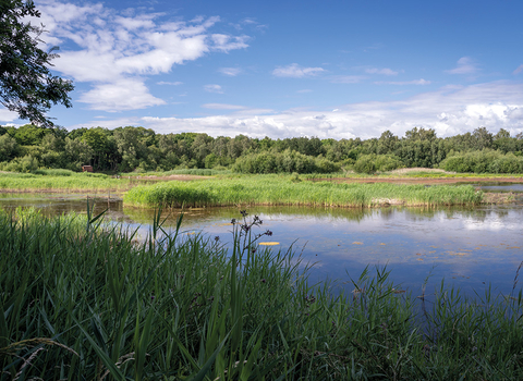 A view of one of Potteric Carr's lakes