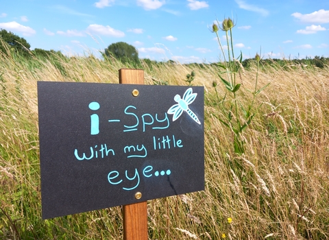 A sign in a meadow at Potteric Carr nature reserve that says 'i-spy with my little eye'