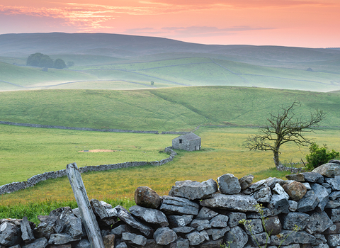 A crimson sunrise over the rolling hills of Ashes Pasture