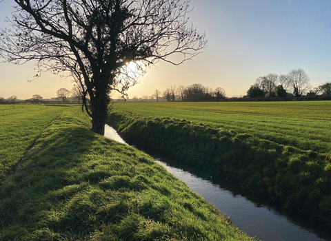 In low golden light, the foss (deep blue) cuts in a straight line between two green banks.