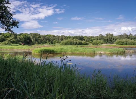 A sunny day at Potteric Carr nature reserve